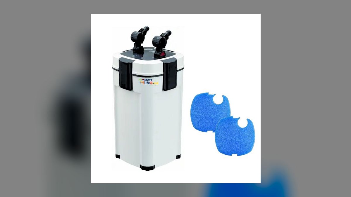 What is the best quiet canister filter for a 40-gallon breeder tank in a bedroom — figure 5