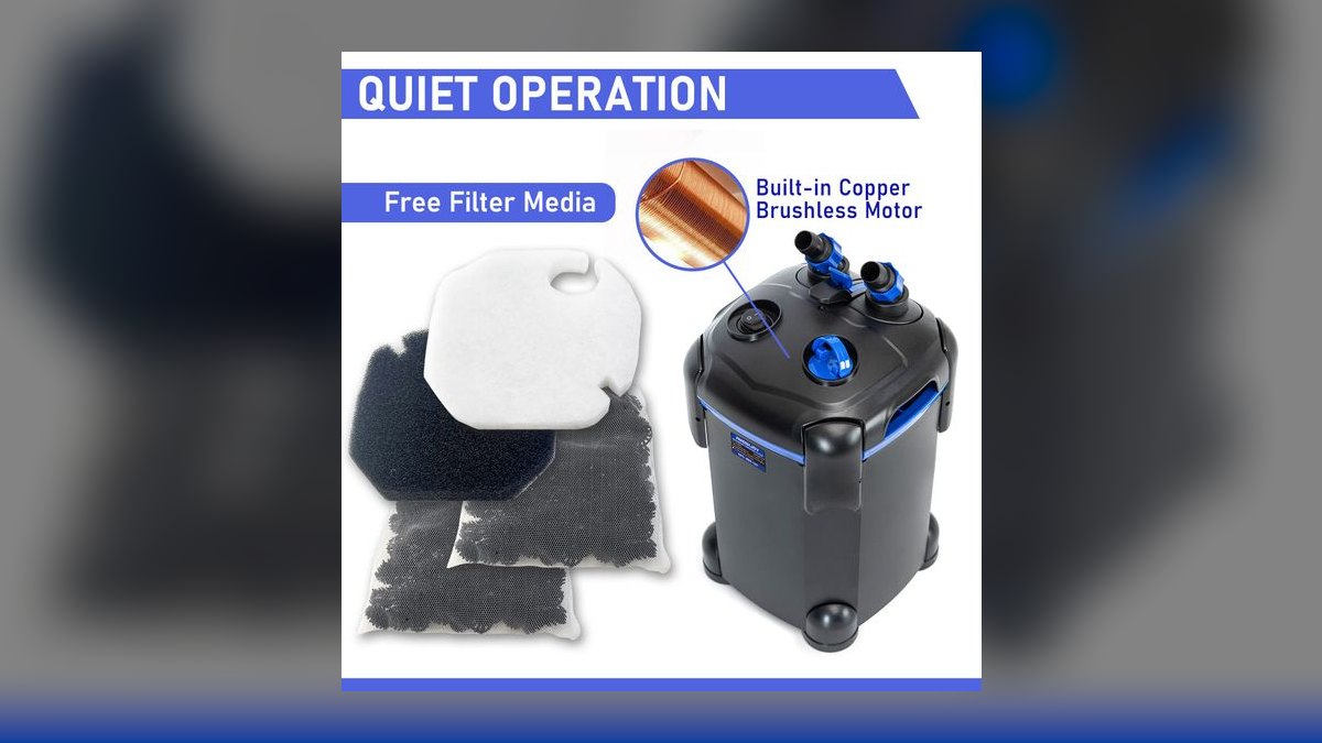 What is the best quiet canister filter for a 40-gallon breeder tank in a bedroom — figure 6