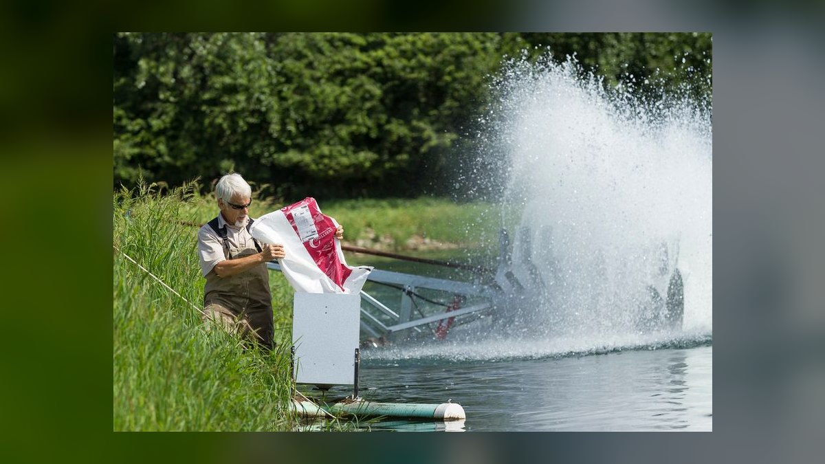 Best automatic fish feeder for pelleted food that doesn't clog or overfeed — figure 3