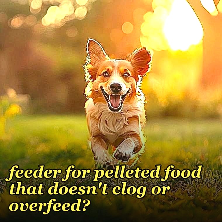 Best automatic fish feeder for pelleted food that doesn't clog or overfeed?