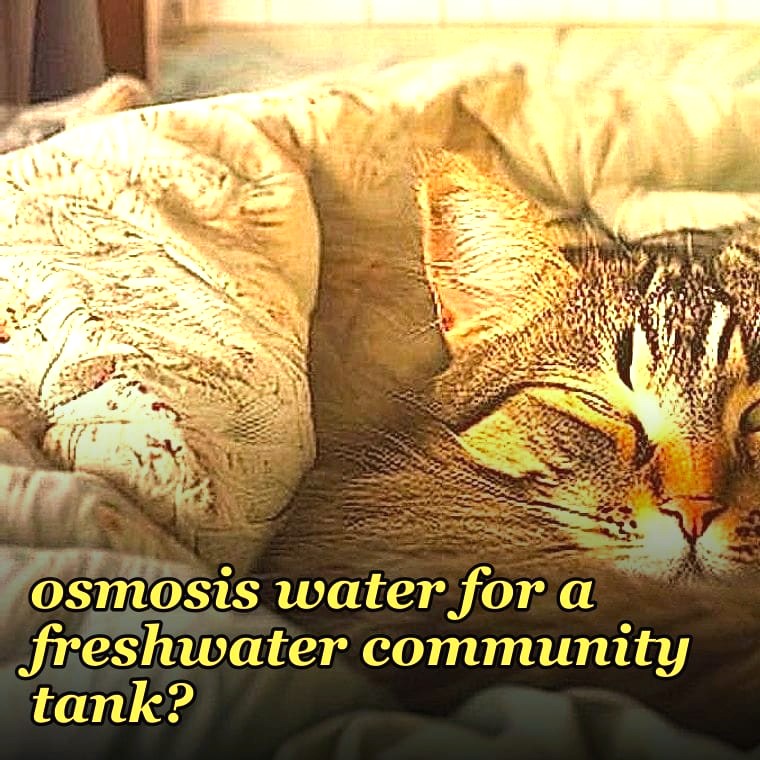 Can I use reverse osmosis water for a freshwater community tank?