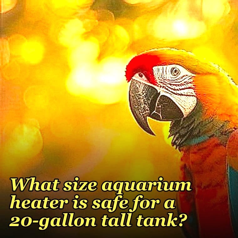 What size aquarium heater is safe for a 20-gallon tall tank?