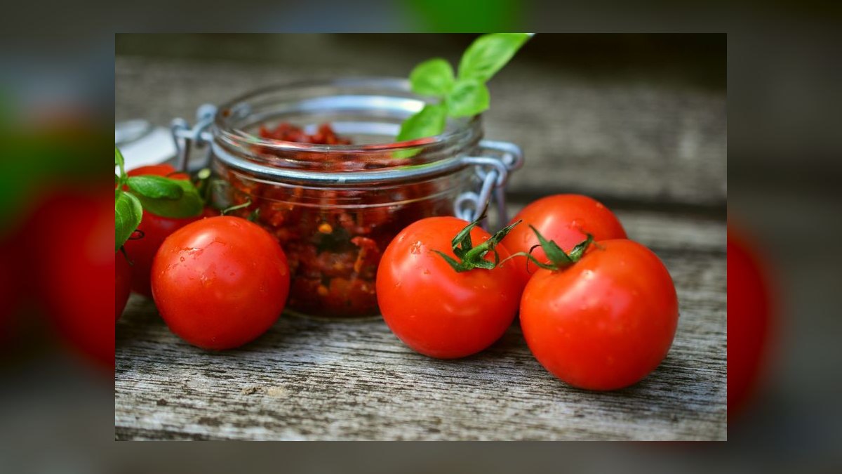 Can guinea pigs eat fresh tomato leaves or just the fruit — figure 6