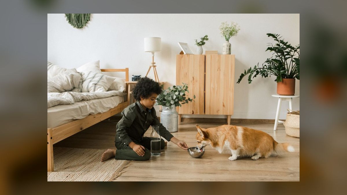 Top 10 Questions Every New Dog Owner Asks About Potty Training in 2027 — figure 4
