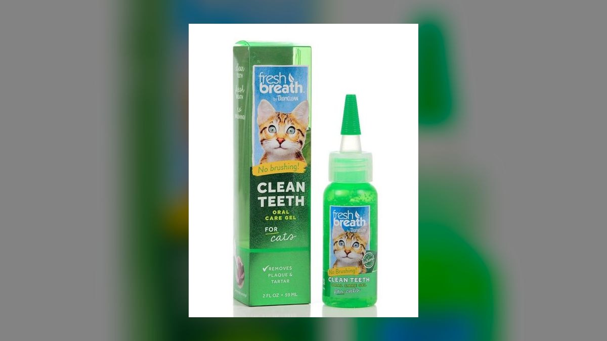 Top 10 Tips for Keeping Your Cat’s Teeth Healthy Without Stress in 2027 — figure 10