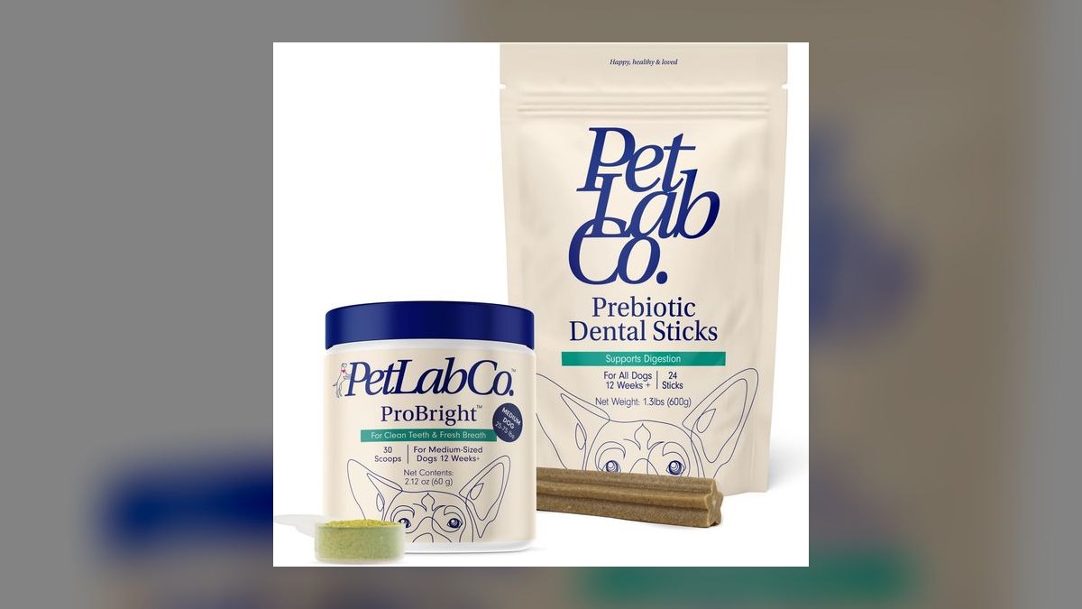 Top 10 Tips for Keeping Your Cat’s Teeth Healthy Without Stress in 2027 — figure 9
