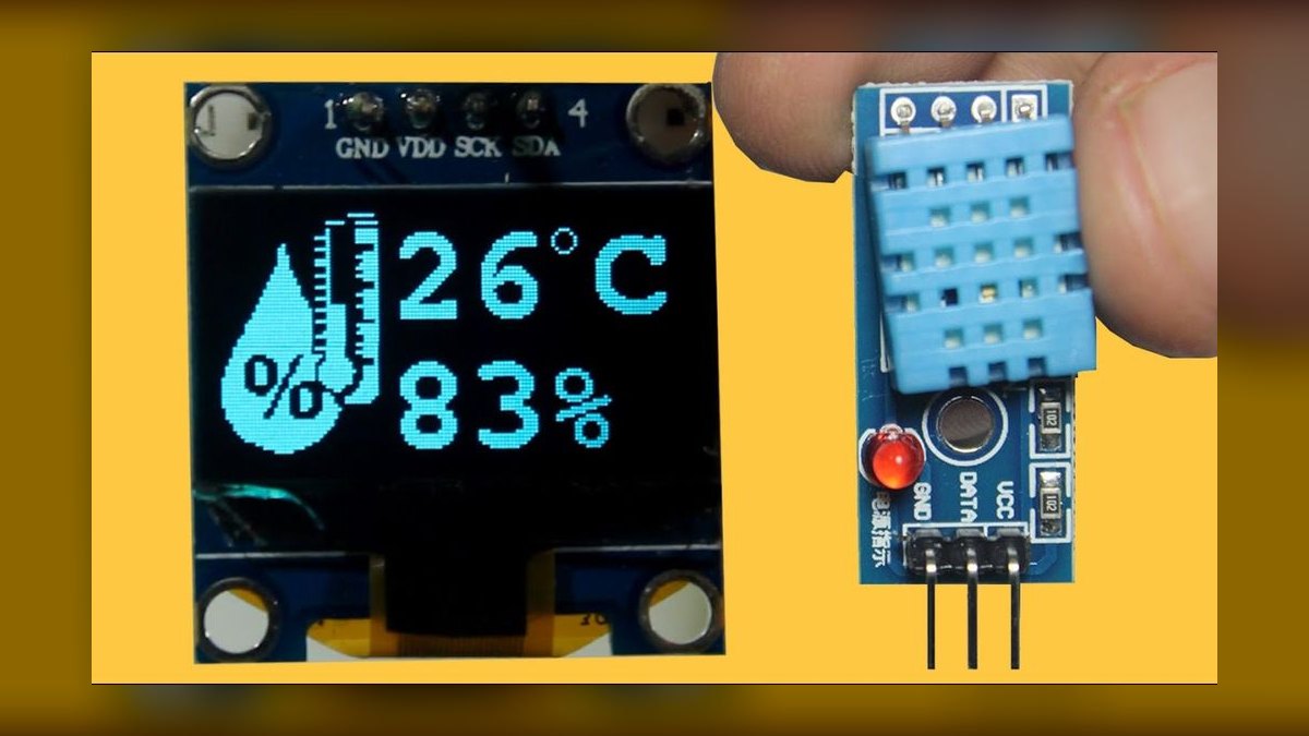 What is the correct temperature and humidity for a bearded dragon enclosure — figure 4