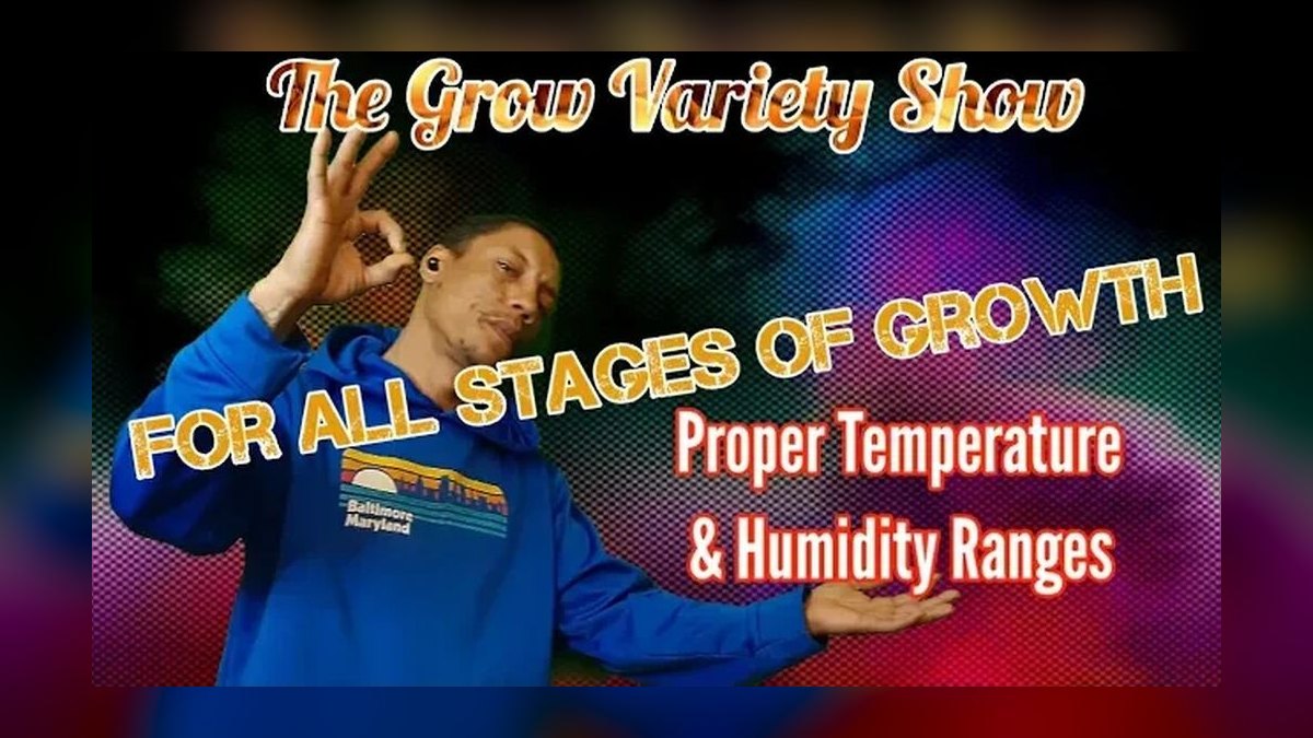 What is the correct temperature and humidity for a bearded dragon enclosure — figure 5