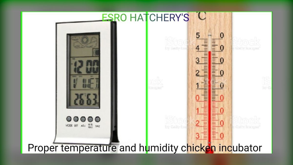 What is the correct temperature and humidity for a bearded dragon enclosure?