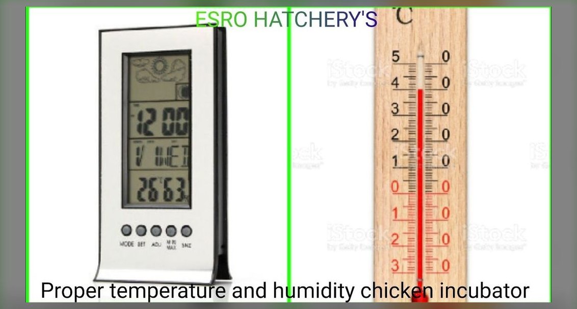 What is the correct temperature and humidity for a bearded dragon enclosure?