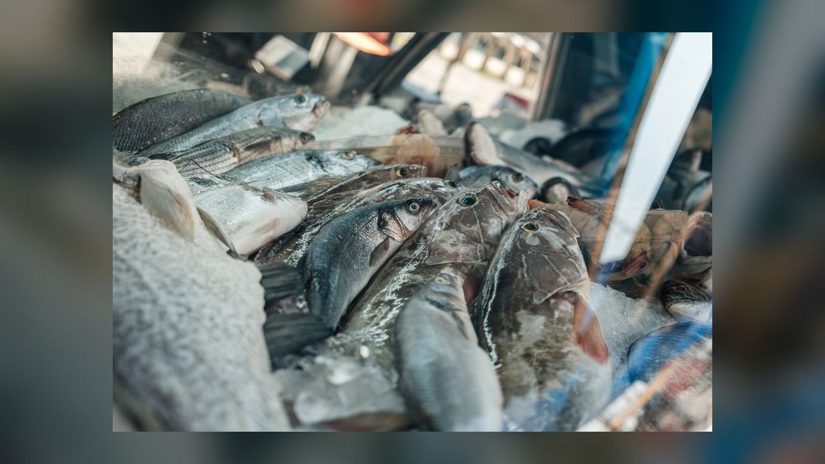 Top 10 best frozen fish foods 2027 — figure 5