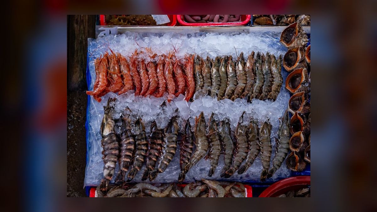 Top 10 best frozen fish foods 2027 — figure 7