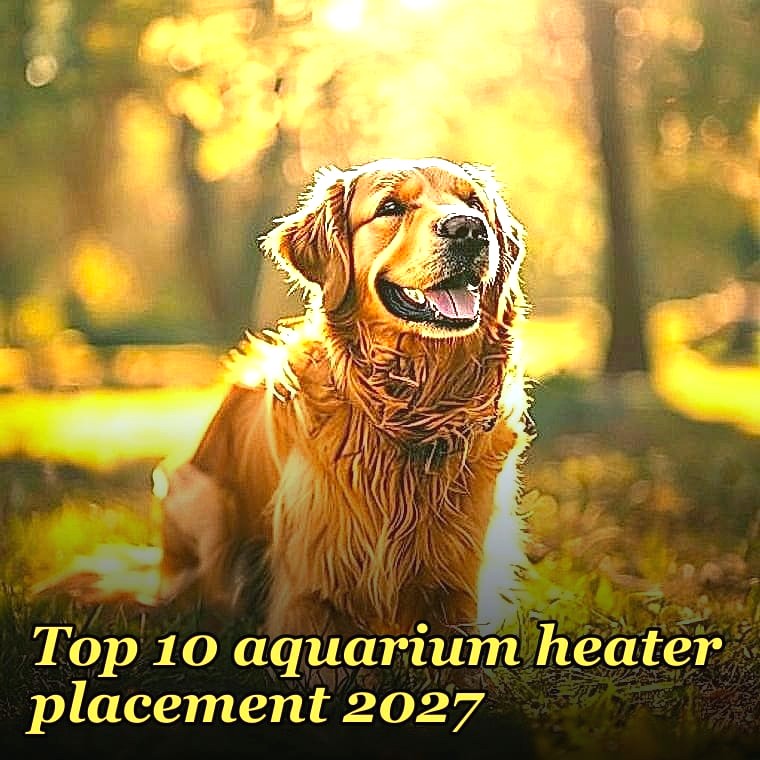 Top 10 aquarium heater placement 2027