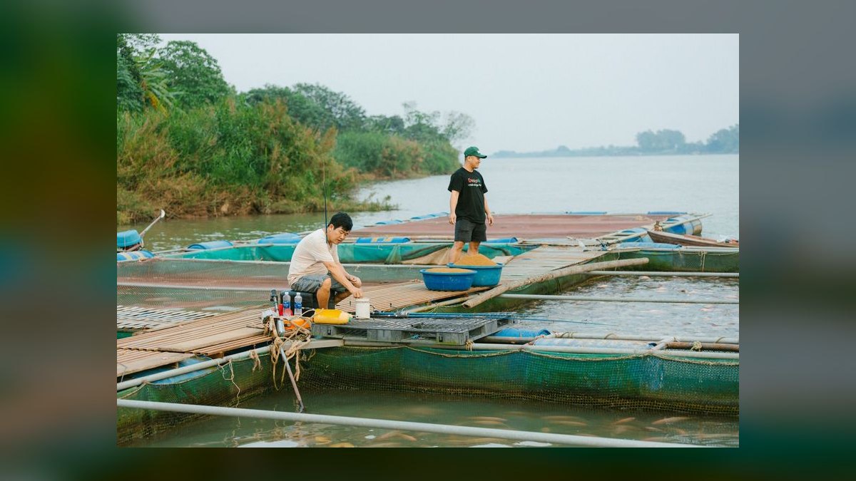 Top 10 fish acclimation methods 2027 — figure 1