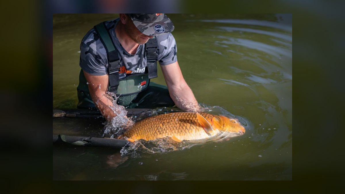 Top 10 fish acclimation methods 2027 — figure 10