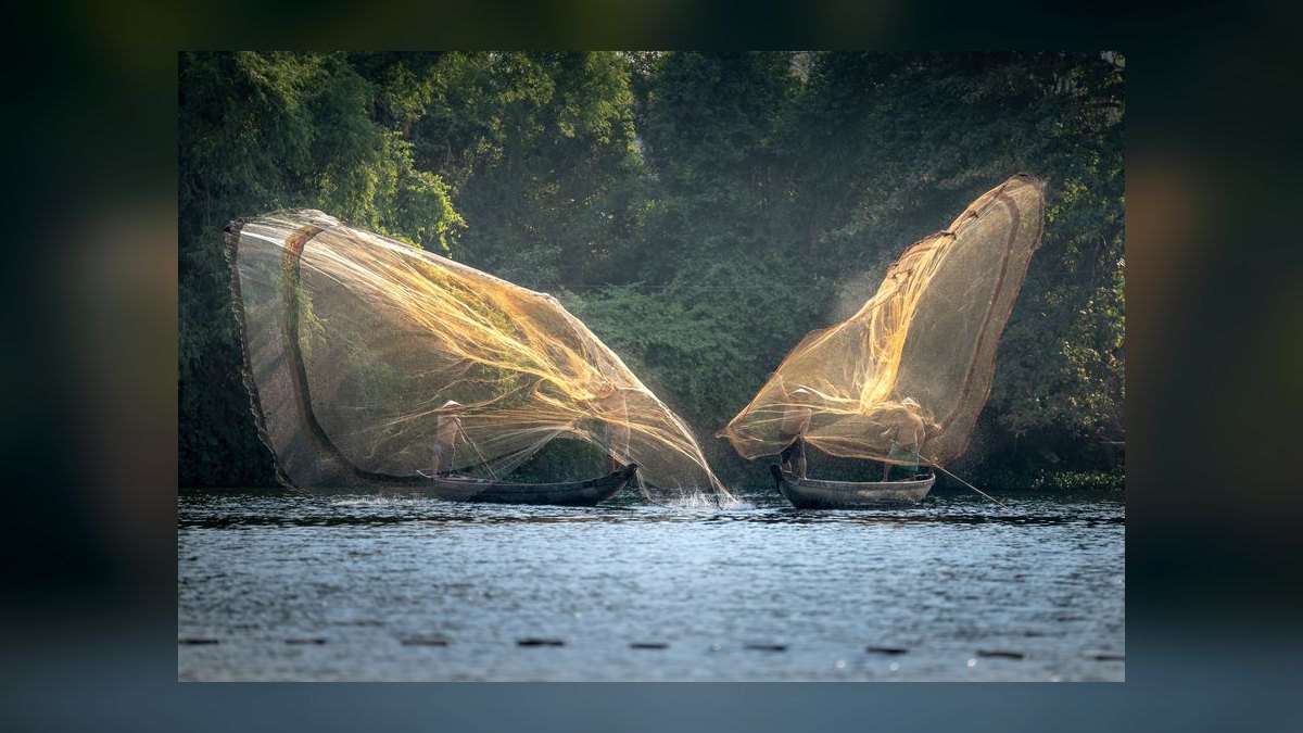 Top 10 fish acclimation methods 2027 — figure 2