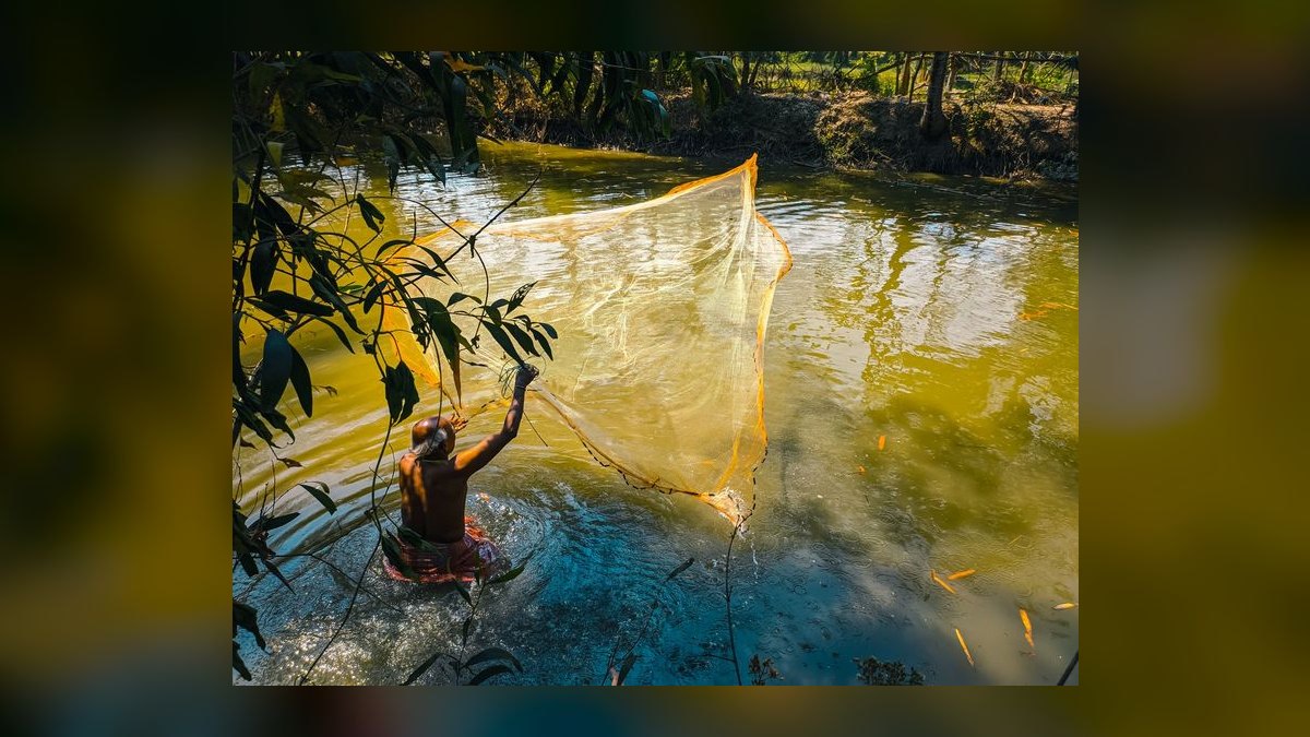Top 10 fish acclimation methods 2027 — figure 8