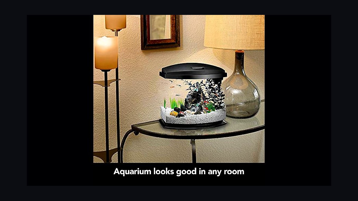 Top 10 best betta tank setups 2027 — figure 2