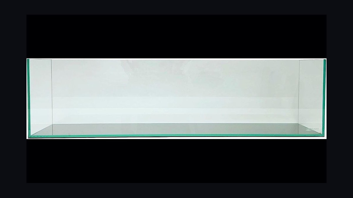 Top 10 best betta tank setups 2027 — figure 7
