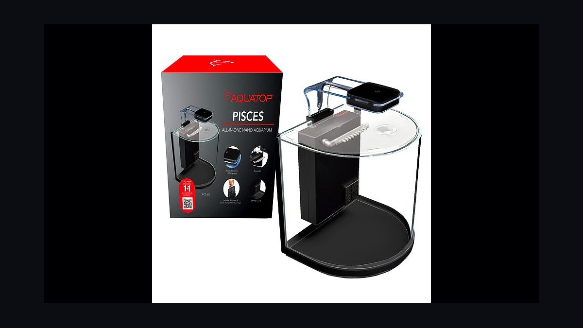 Top 10 best betta tank setups 2027 — figure 9