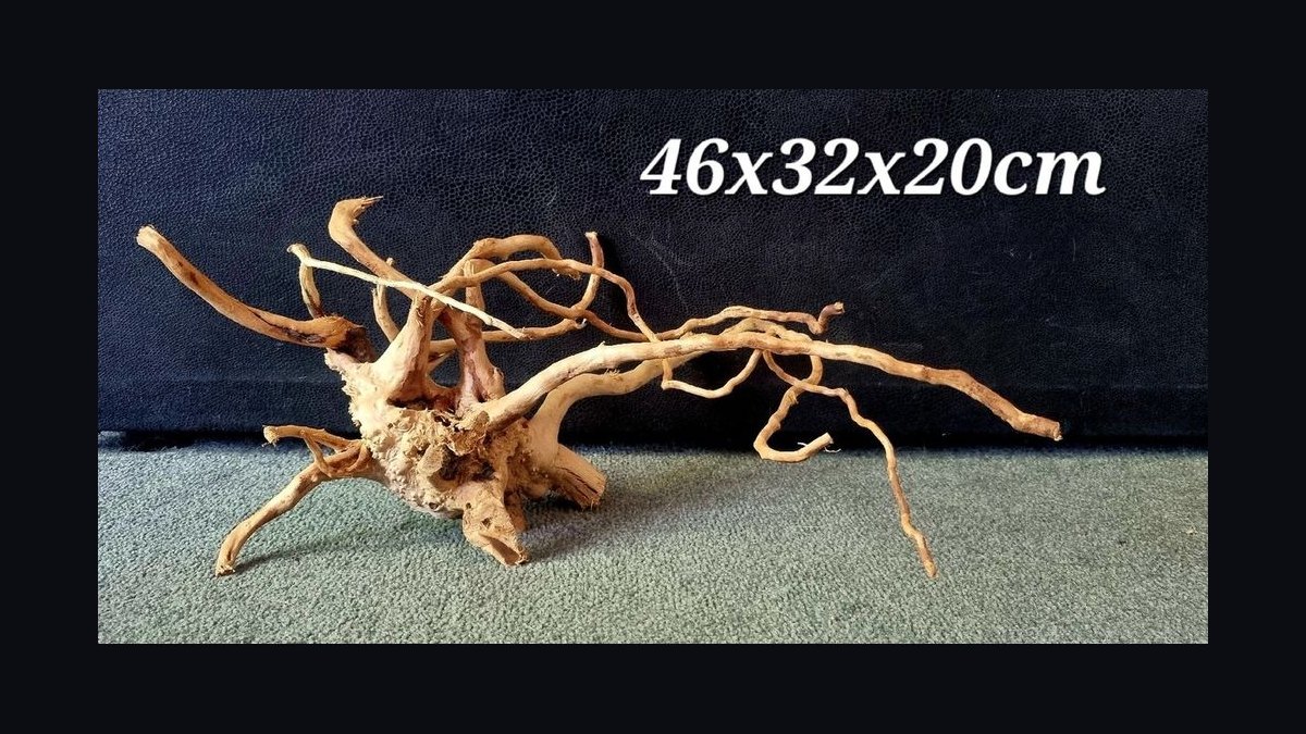Top 10 driftwood for aquariums 2027 — figure 10