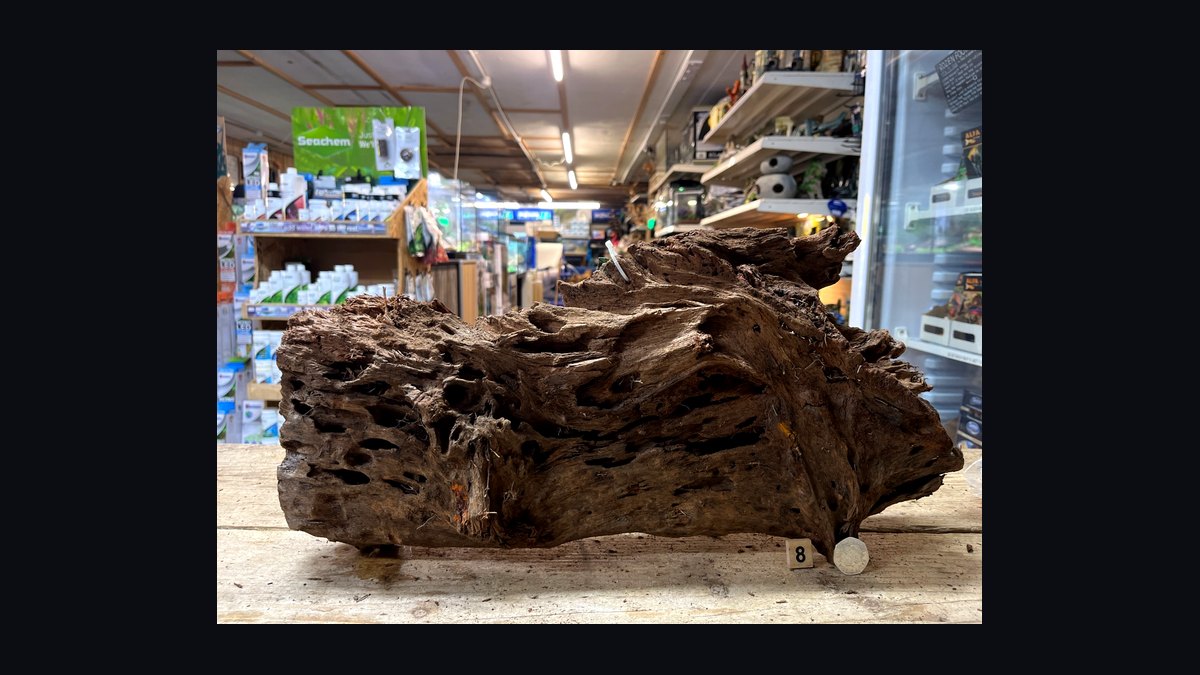 Top 10 driftwood for aquariums 2027 — figure 7