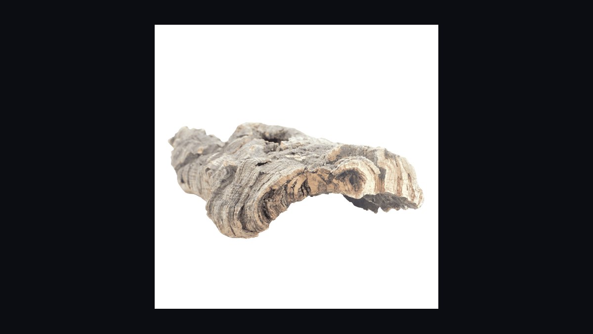 Top 10 driftwood for aquariums 2027 — figure 8