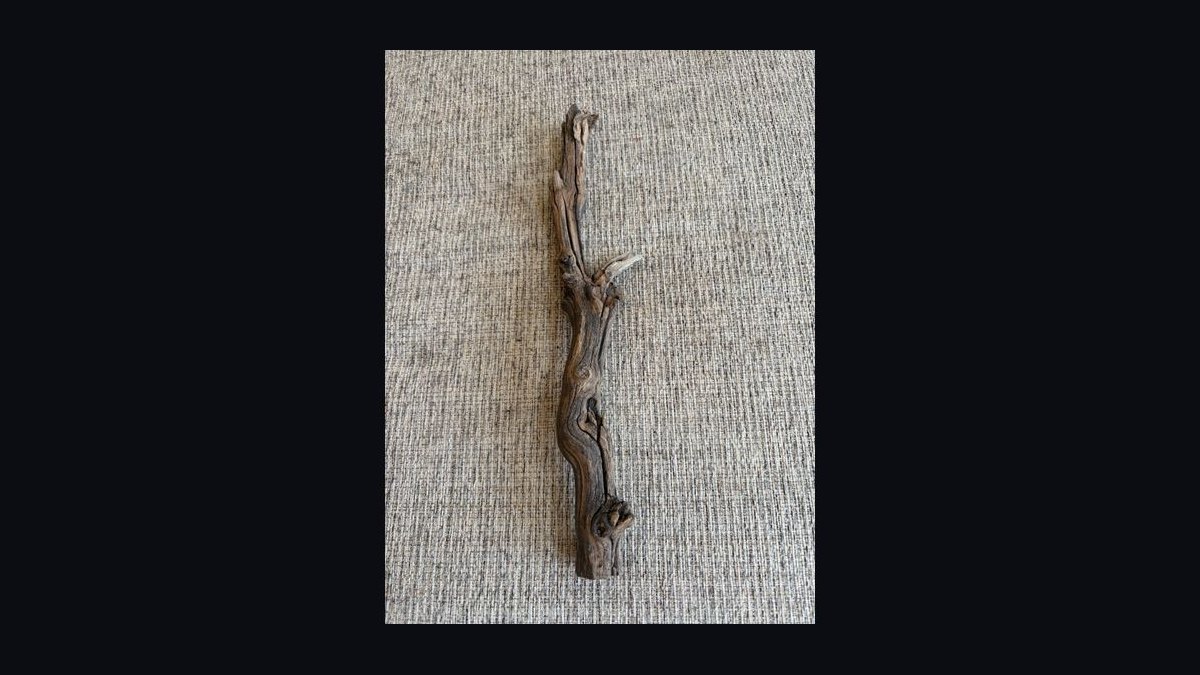 Top 10 driftwood for aquariums 2027 — figure 9