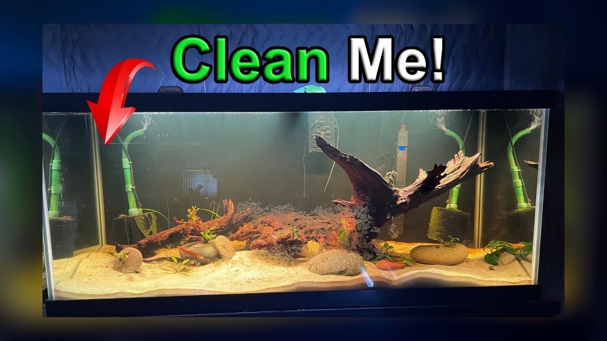 Top 10 aquarium water change hacks 2027