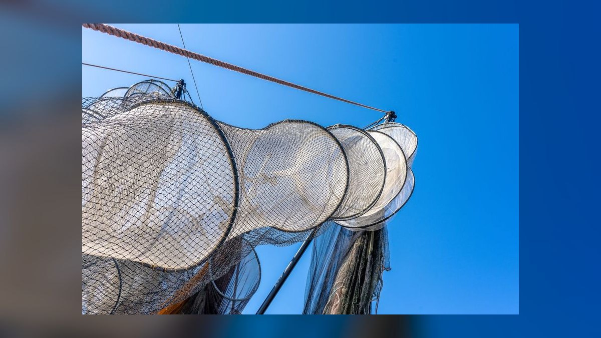 Top 10 best aquarium nets 2027 — figure 1