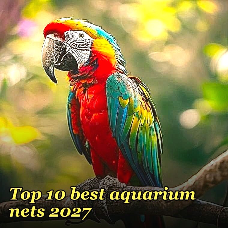 Top 10 best aquarium nets 2027