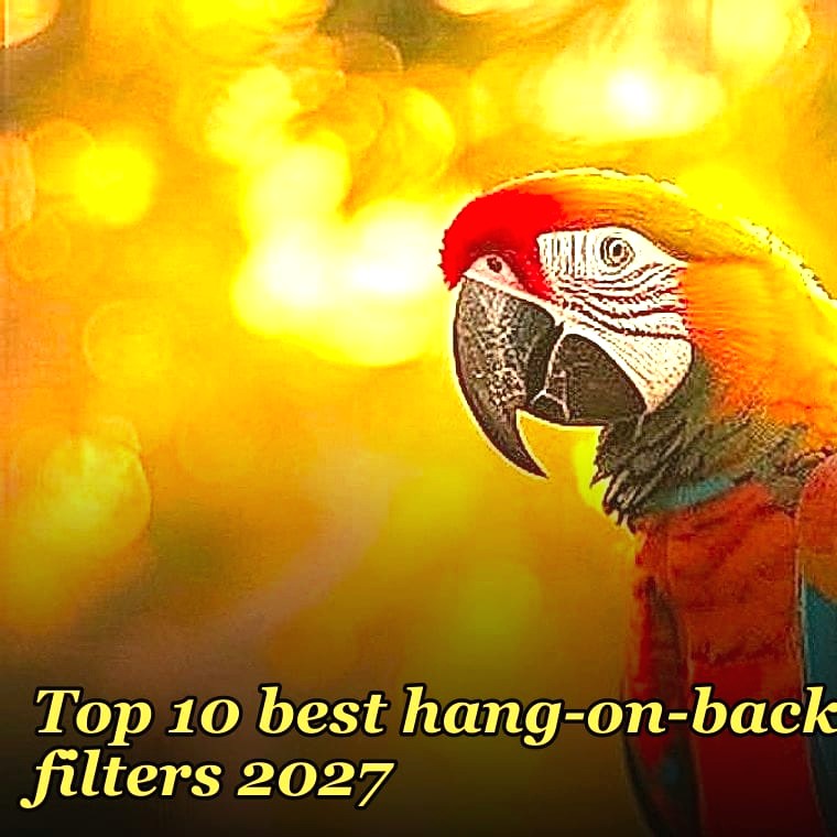 Top 10 best hang-on-back filters 2027