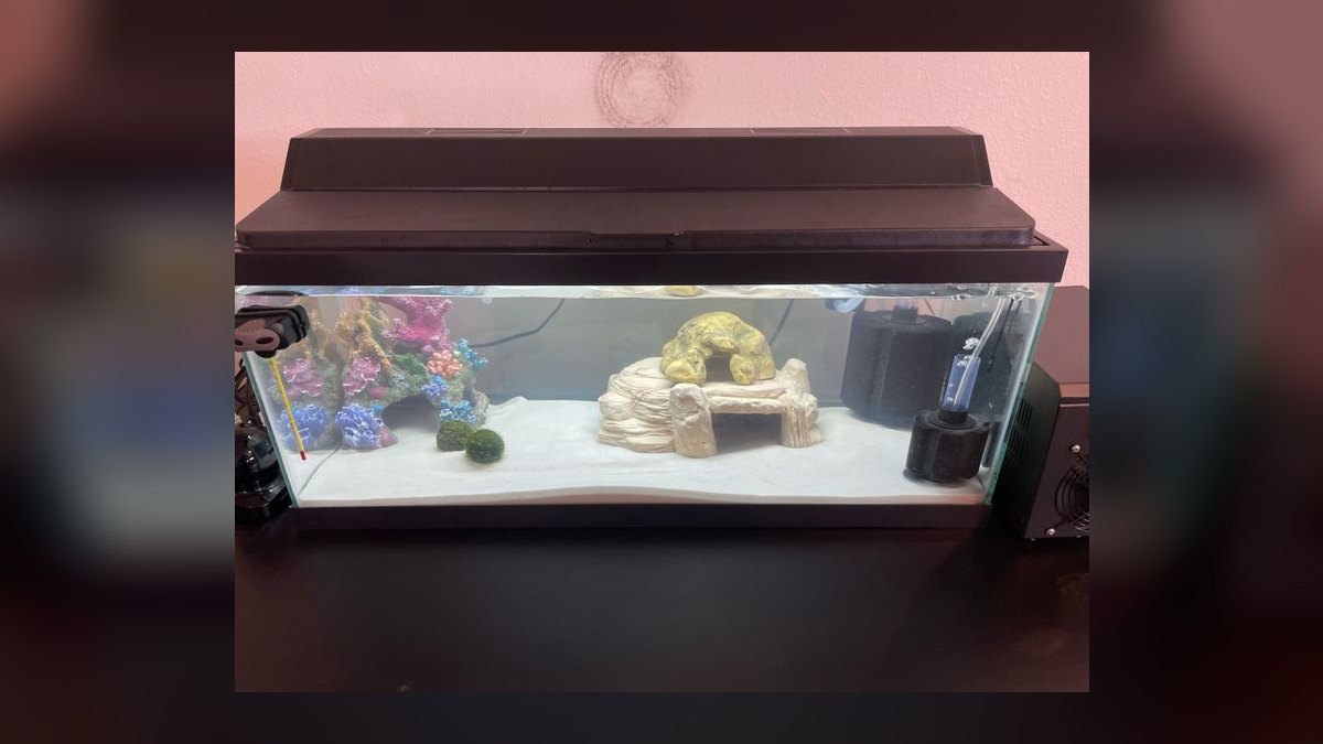 Top 10 best aquarium sand types 2027 — figure 2