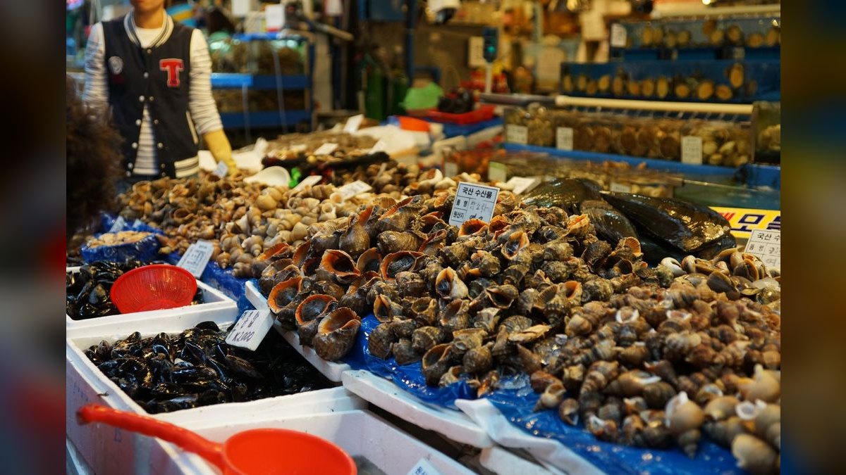Top 10 best aquarium snail varieties 2027 — figure 4