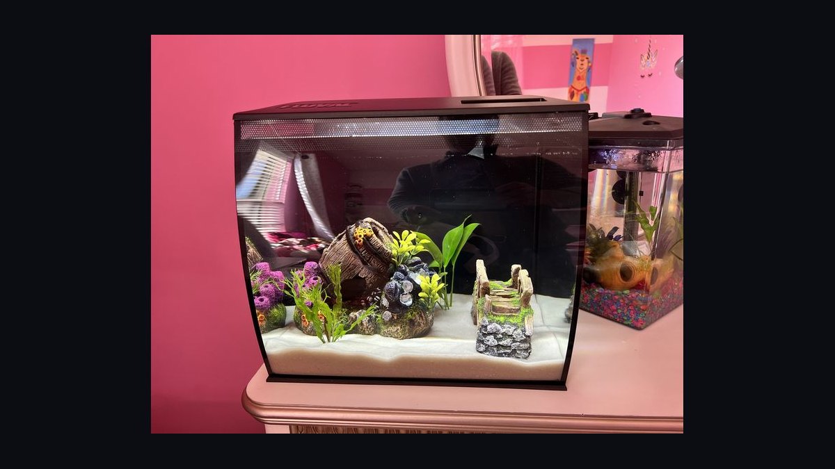 Top 10 desktop aquarium kits 2027 — figure 1