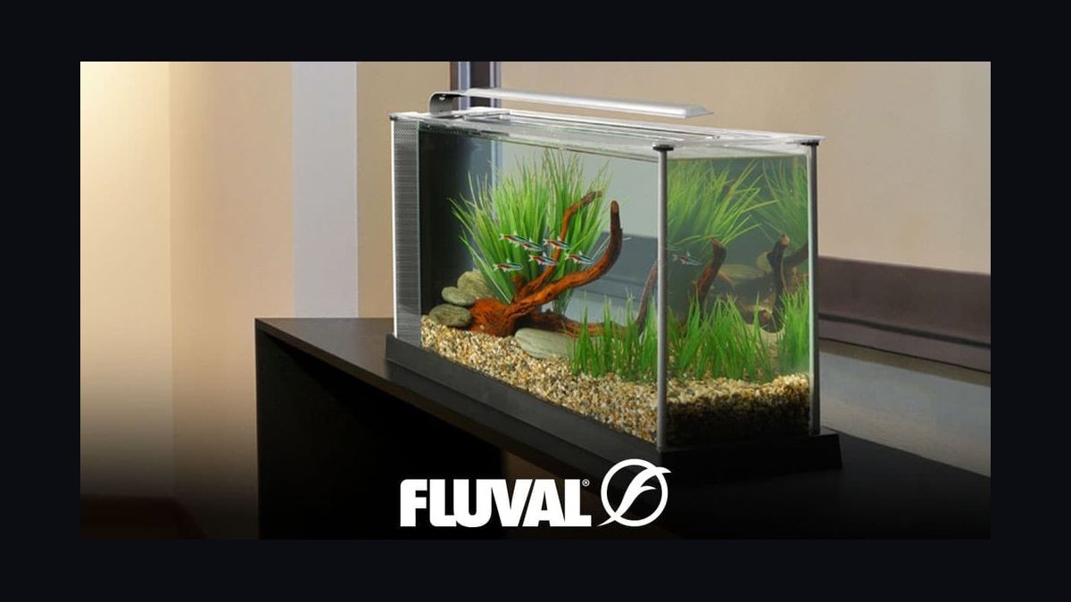 Top 10 desktop aquarium kits 2027 — figure 2