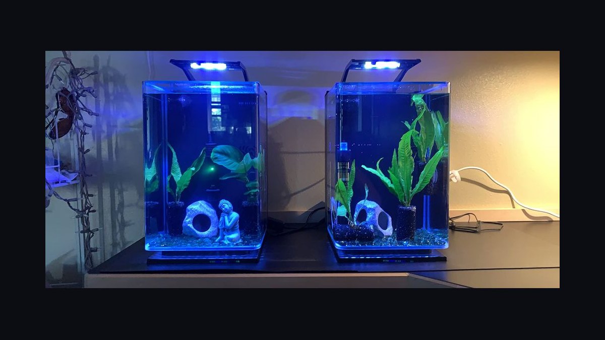 Top 10 desktop aquarium kits 2027 — figure 3