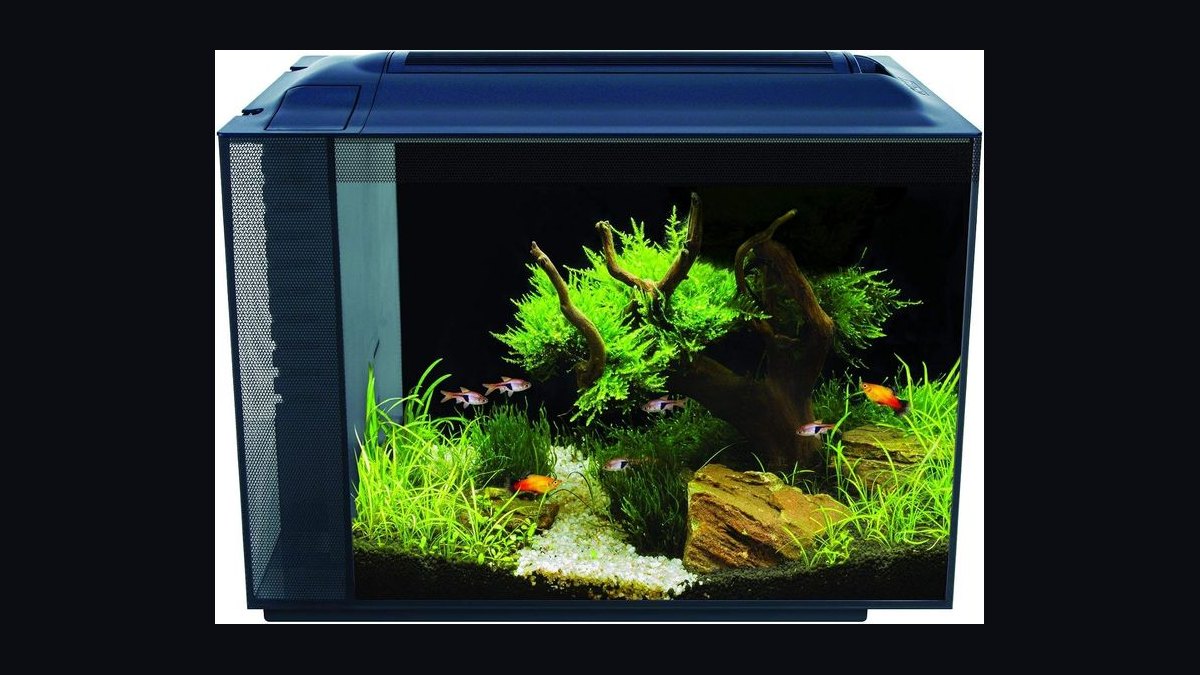 Top 10 desktop aquarium kits 2027 — figure 4
