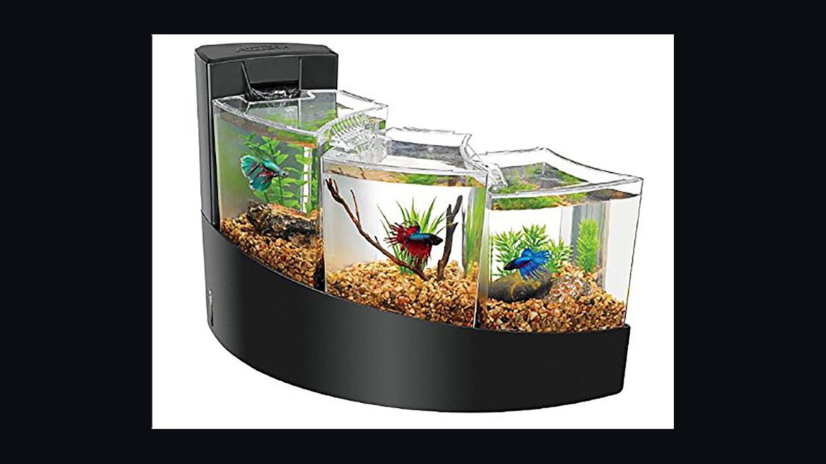 Top 10 desktop aquarium kits 2027 — figure 5