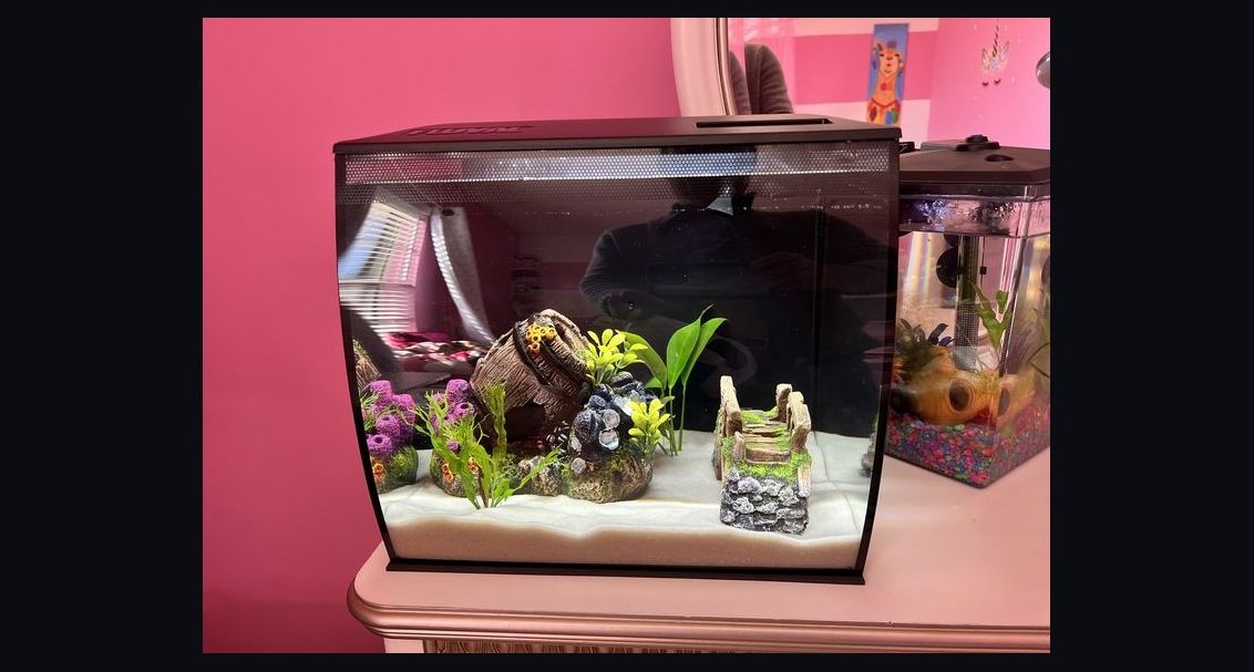 Top 10 desktop aquarium kits 2027