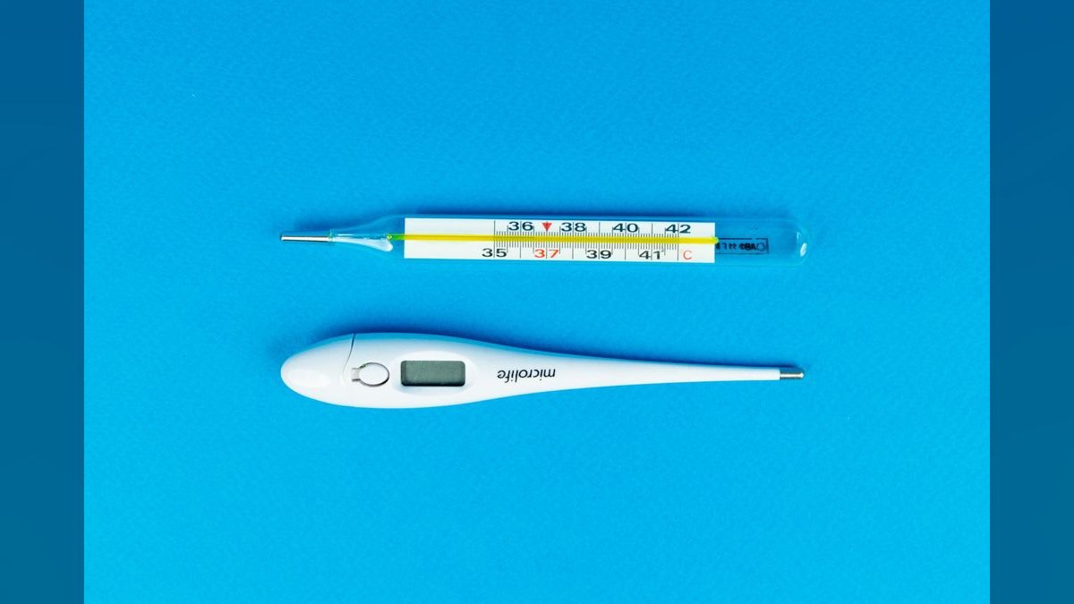 Top 10 best aquarium thermometers 2027 — figure 5