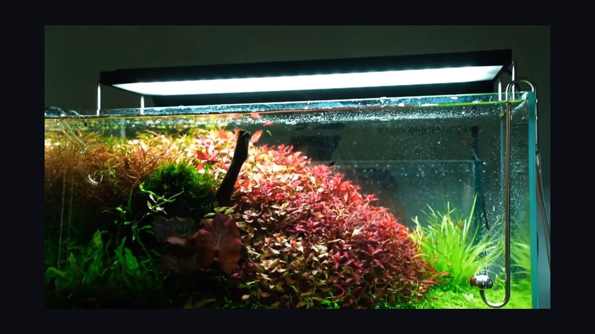 Top 10 aquarium lighting systems 2027 — figure 9
