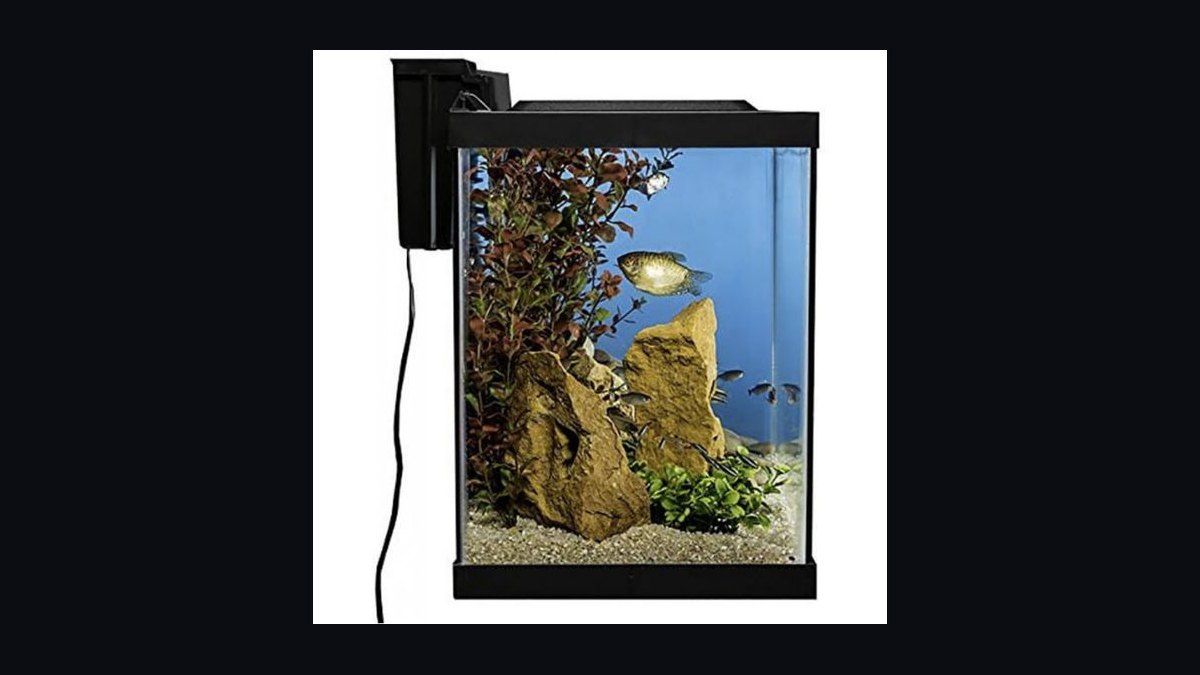 Top 10 aquarium tanks under 20 gallons 2027 — figure 7