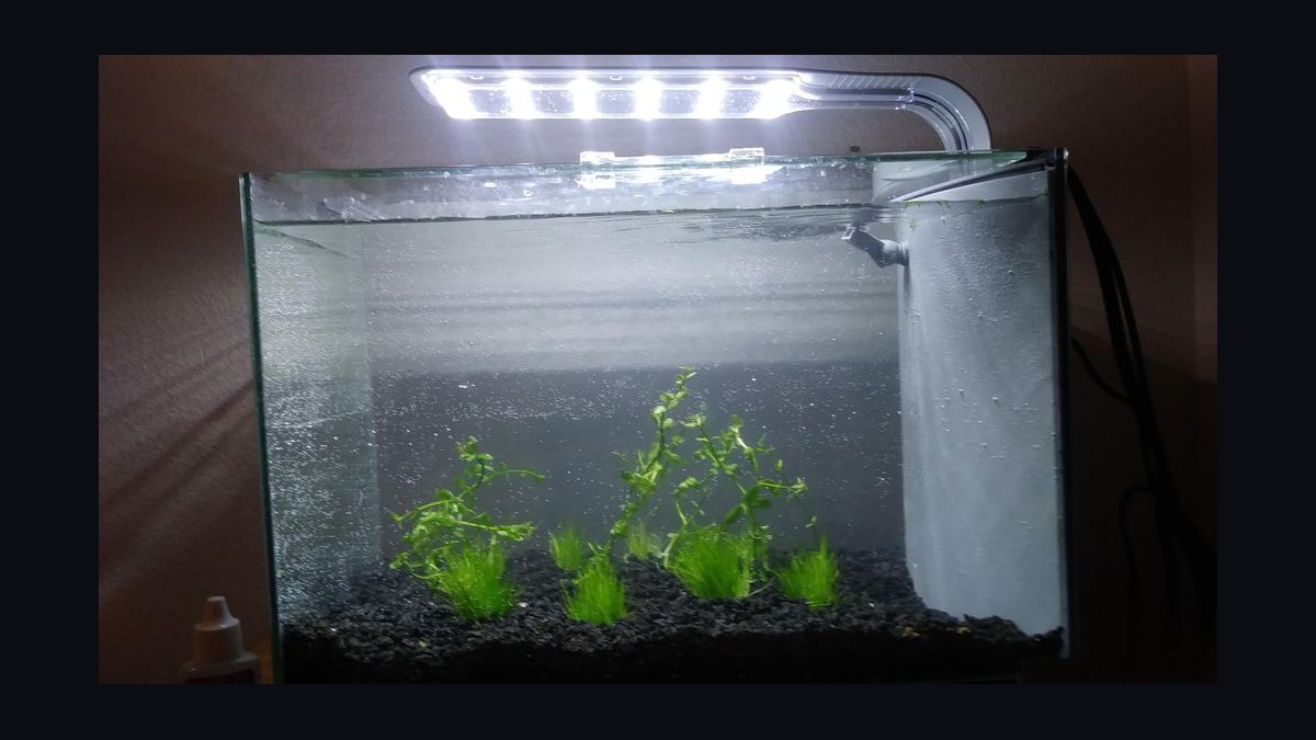 Top 10 aquarium tanks under 20 gallons 2027 — figure 9