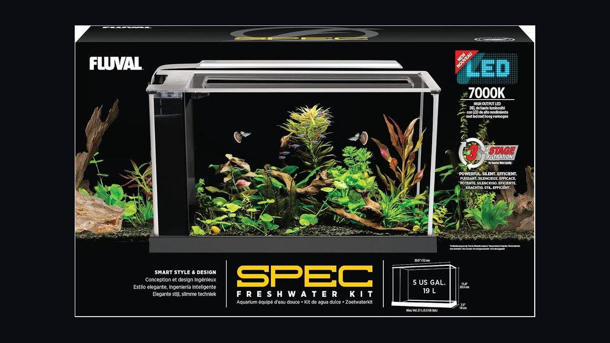 Top 10 5-Gallon Aquariums 2027 — figure 1