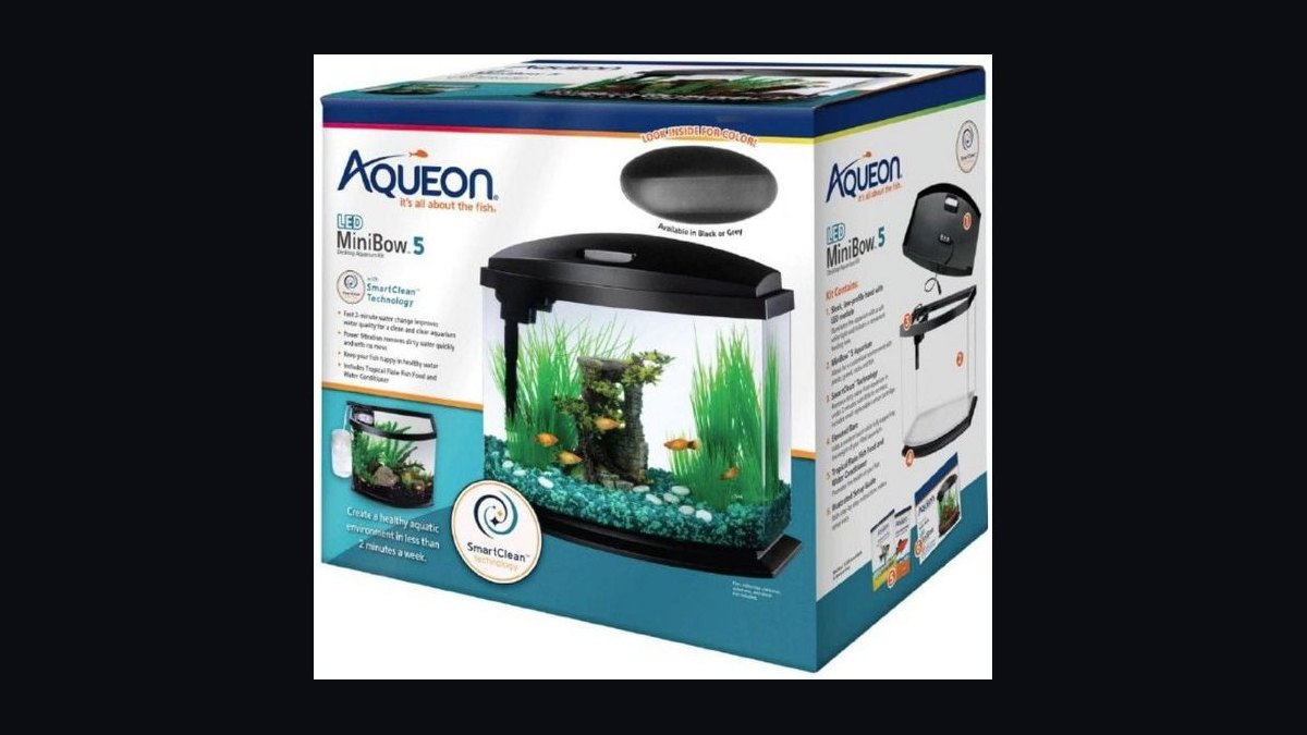 Top 10 5-Gallon Aquariums 2027 — figure 2
