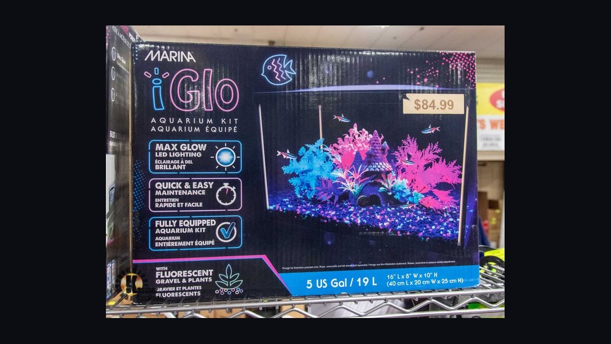 Top 10 5-Gallon Aquariums 2027 — figure 3