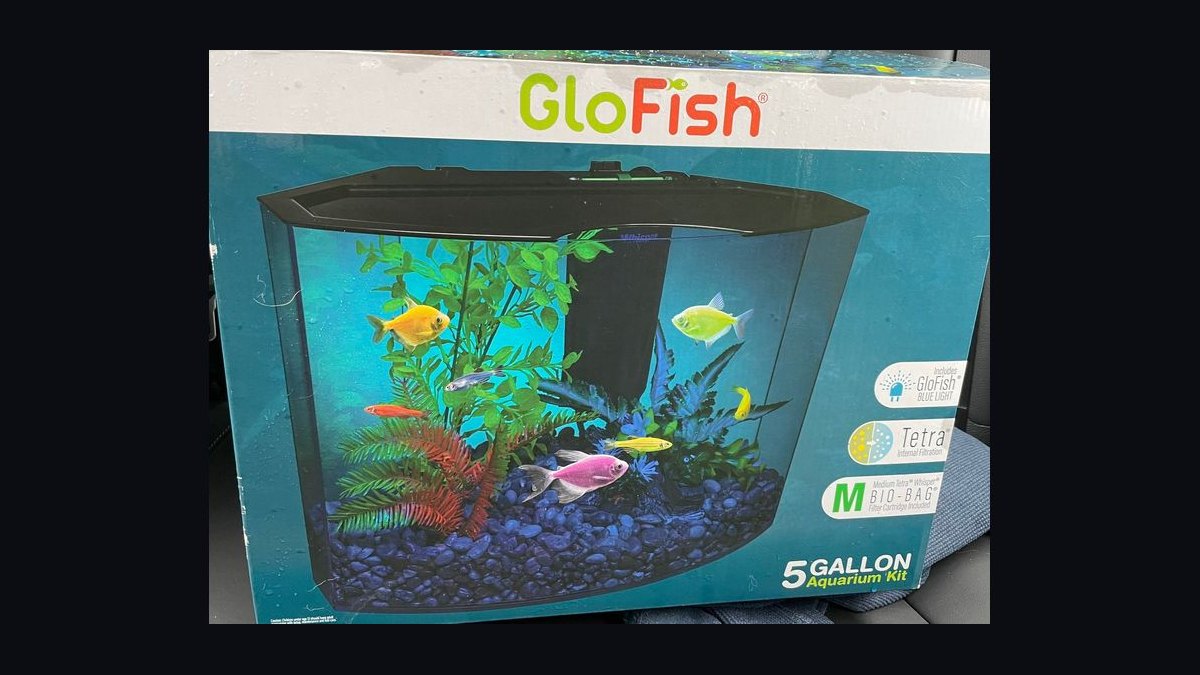 Top 10 5-Gallon Aquariums 2027 — figure 5