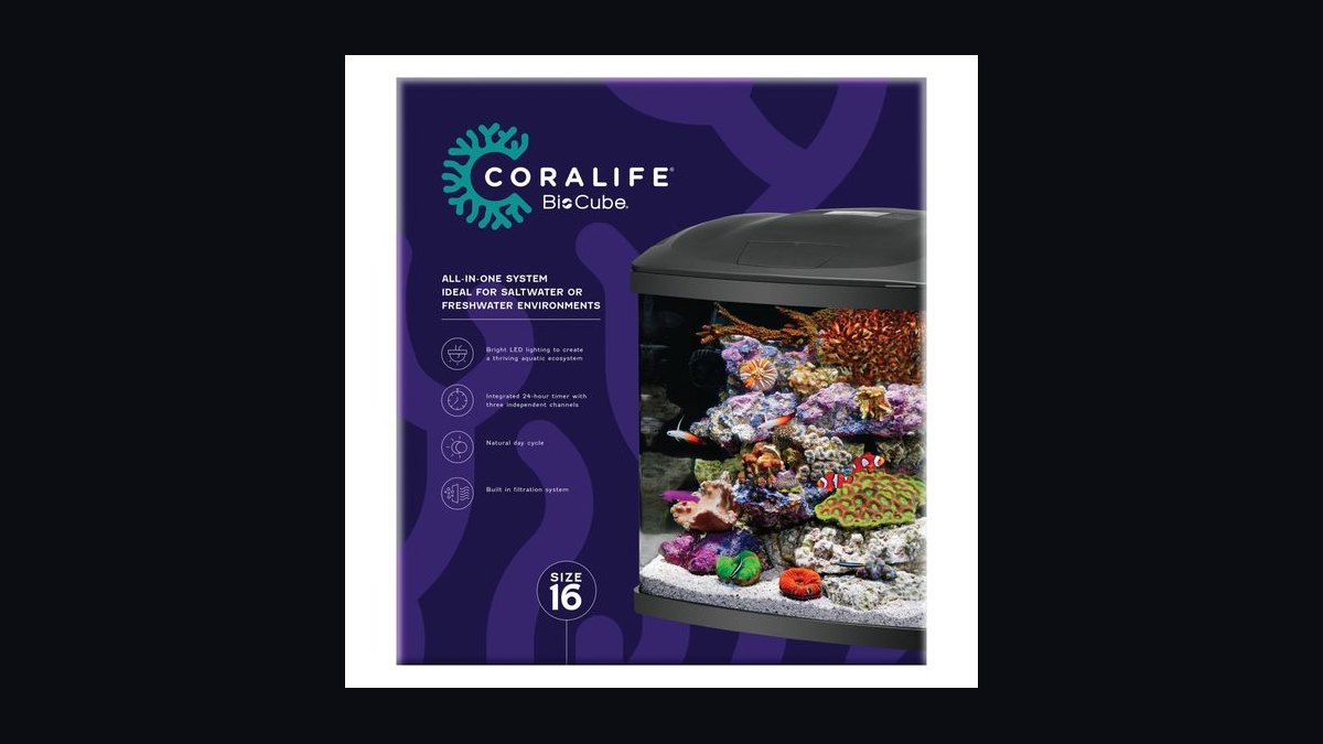 Top 10 5-Gallon Aquariums 2027 — figure 6