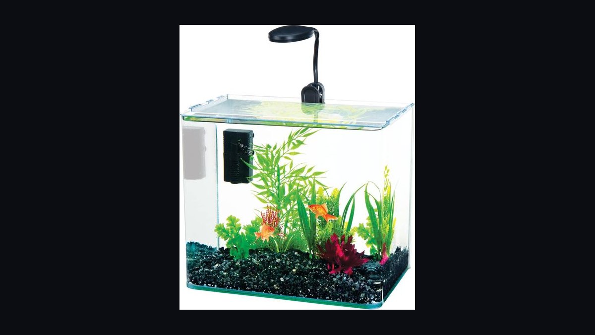 Top 10 20-Gallon Aquariums 2027 — figure 10